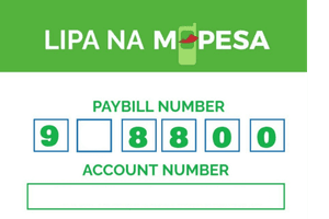 Sample M-Pesa payment information placeholder